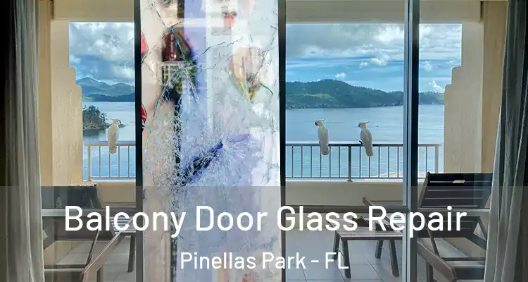 Balcony Door Glass Repair Pinellas Park - FL