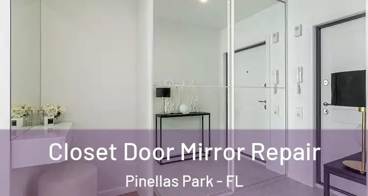 Closet Door Mirror Repair Pinellas Park - FL