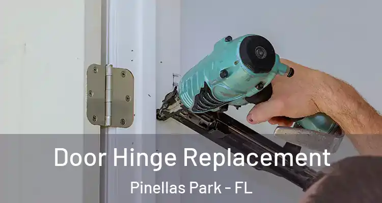 Door Hinge Replacement Pinellas Park - FL