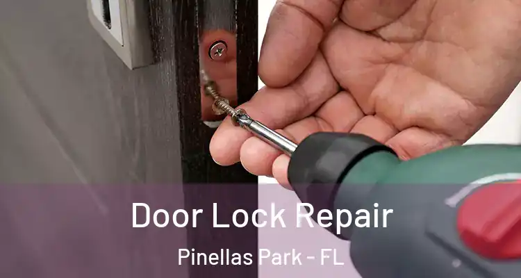 Door Lock Repair Pinellas Park - FL