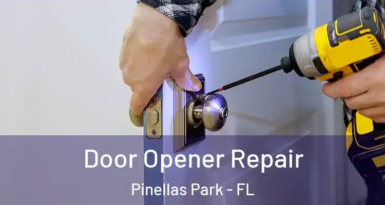 Door Opener Repair Pinellas Park - FL