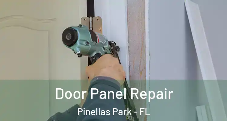 Door Panel Repair Pinellas Park - FL