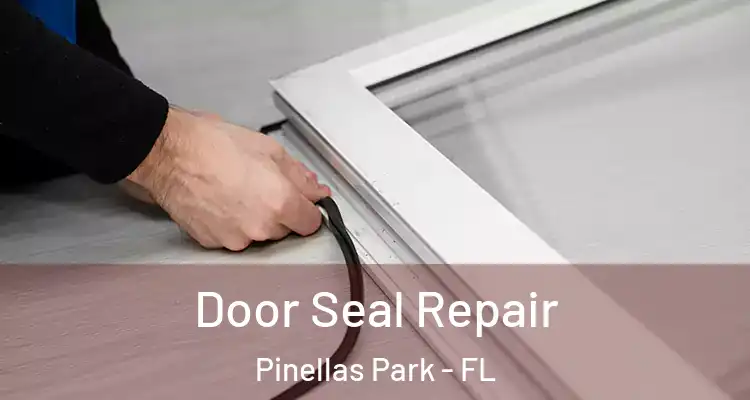 Door Seal Repair Pinellas Park - FL
