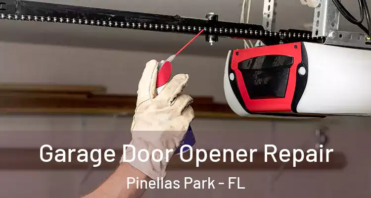 Garage Door Opener Repair Pinellas Park - FL