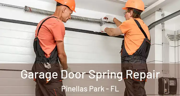Garage Door Spring Repair Pinellas Park - FL