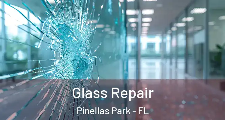 Glass Repair Pinellas Park - FL