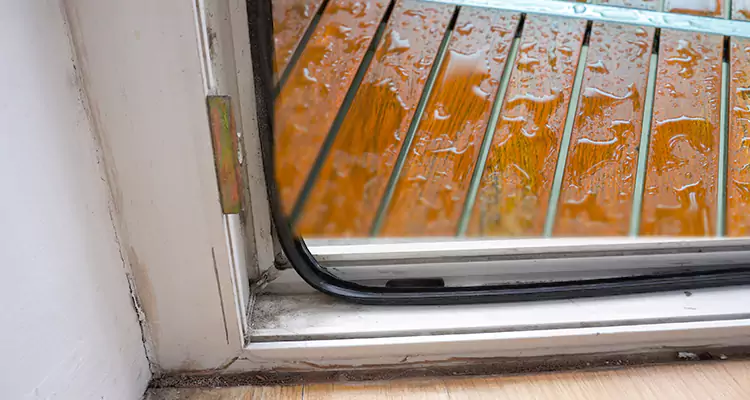 Water Leaking Wooden Patio Doors Repair in Pinellas Park, FL