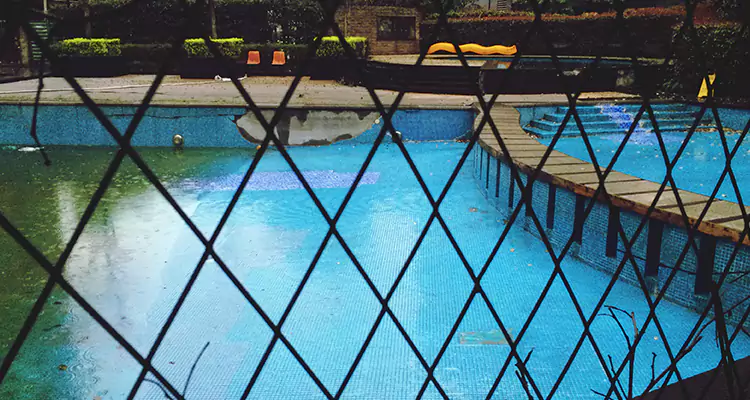 Lanai Screen Repair in Pinellas Park, FL