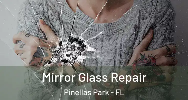 Mirror Glass Repair Pinellas Park - FL