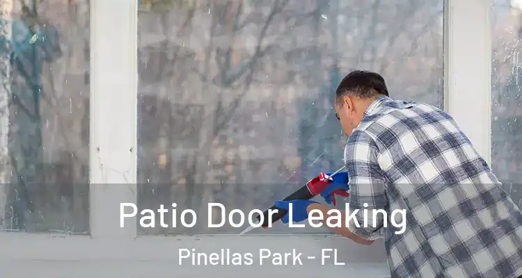 Patio Door Leaking Pinellas Park - FL