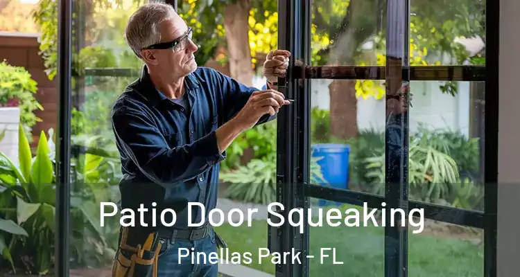 Patio Door Squeaking Pinellas Park - FL