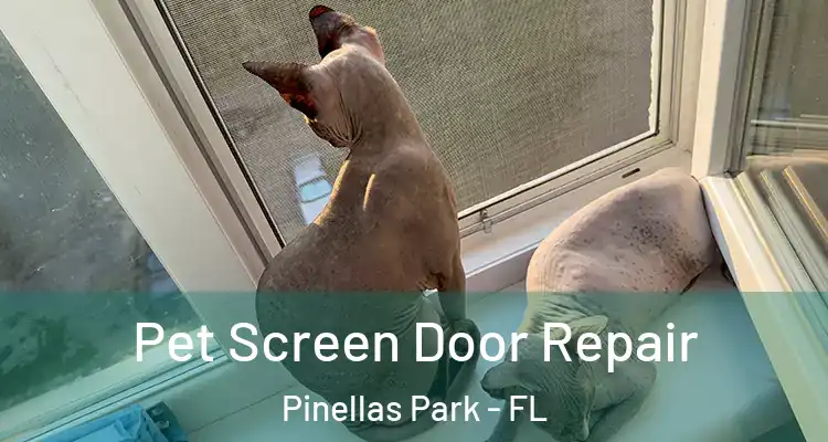 Pet Screen Door Repair Pinellas Park - FL