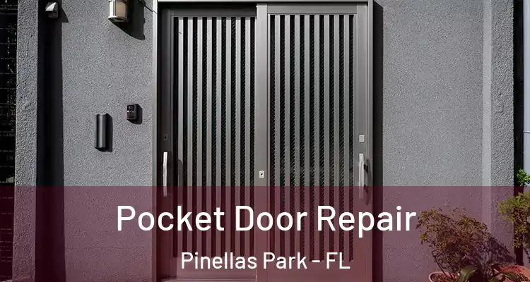 Pocket Door Repair Pinellas Park - FL