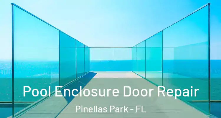 Pool Enclosure Door Repair Pinellas Park - FL