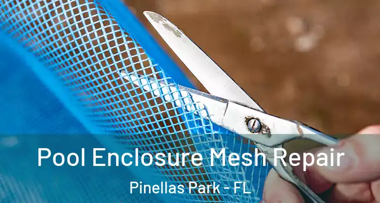 Pool Enclosure Mesh Repair Pinellas Park - FL