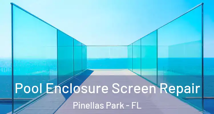 Pool Enclosure Screen Repair Pinellas Park - FL