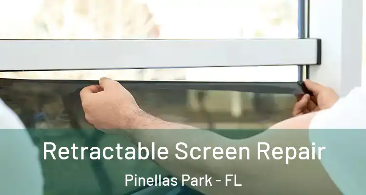 Retractable Screen Repair Pinellas Park - FL