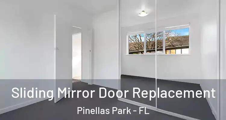 Sliding Mirror Door Replacement Pinellas Park - FL