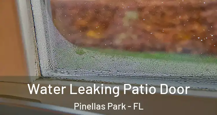 Water Leaking Patio Door Pinellas Park - FL