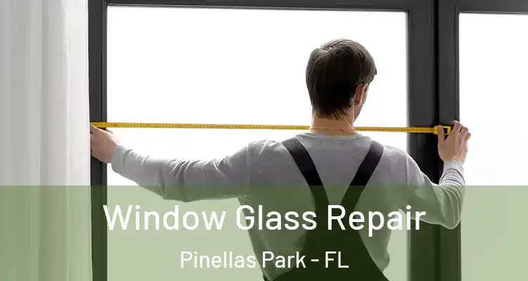 Window Glass Repair Pinellas Park - FL