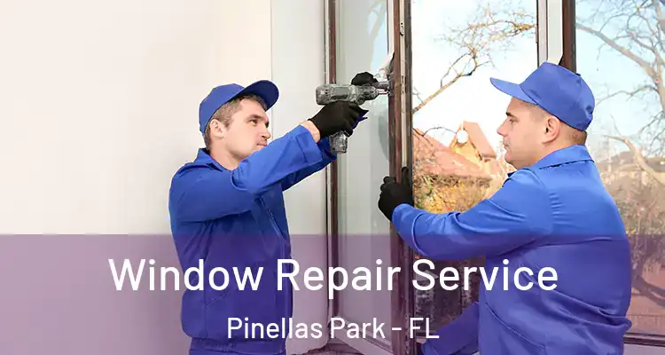 Window Repair Service Pinellas Park - FL