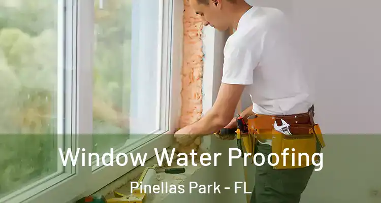 Window Water Proofing Pinellas Park - FL